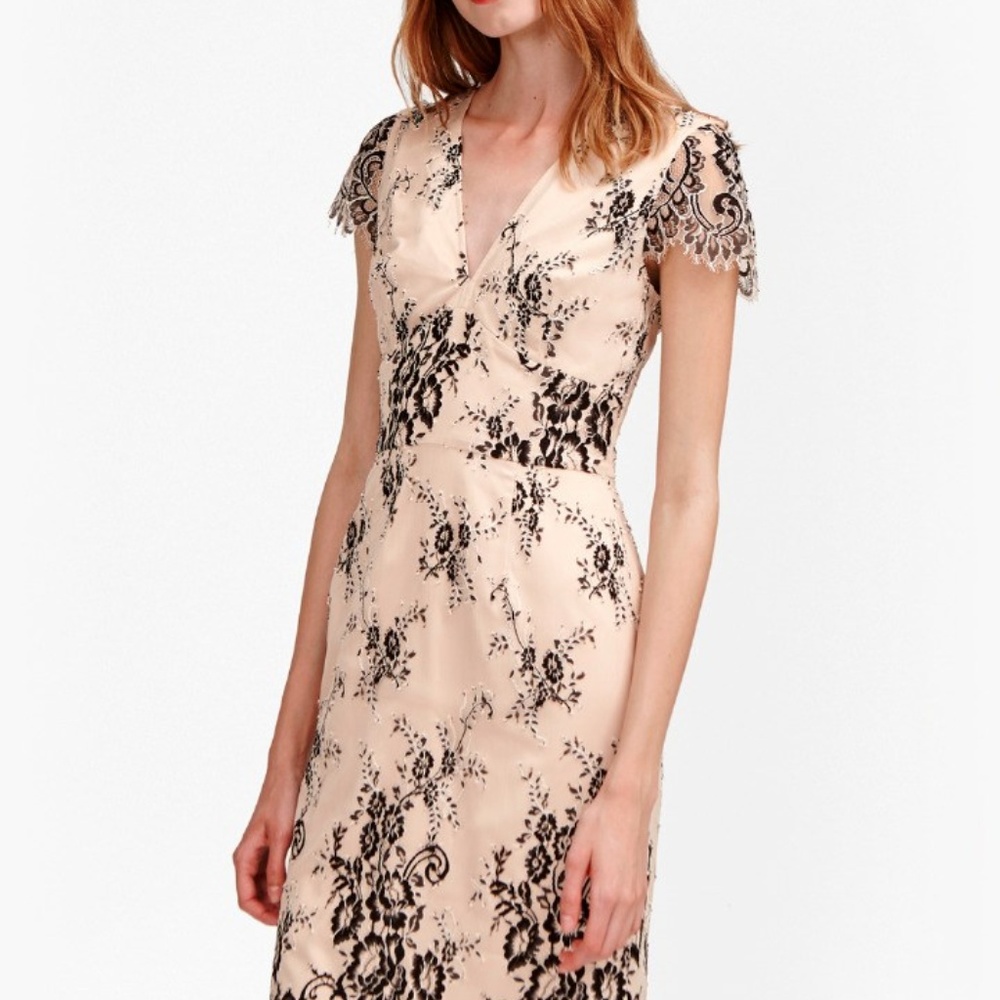 French Connection Rosalie Lace Midi Dress - Picture 3 of 13